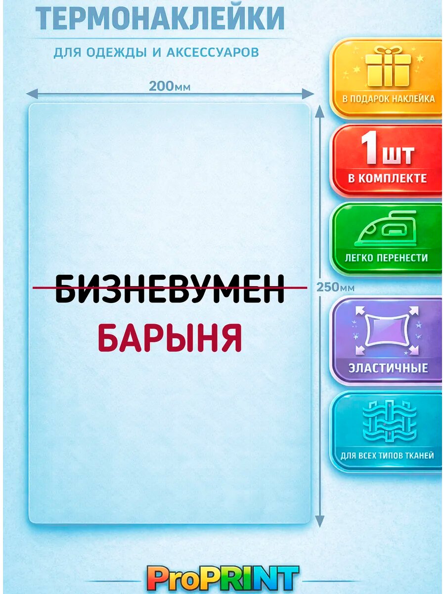 Термонаклейка на одежду надпись барыня