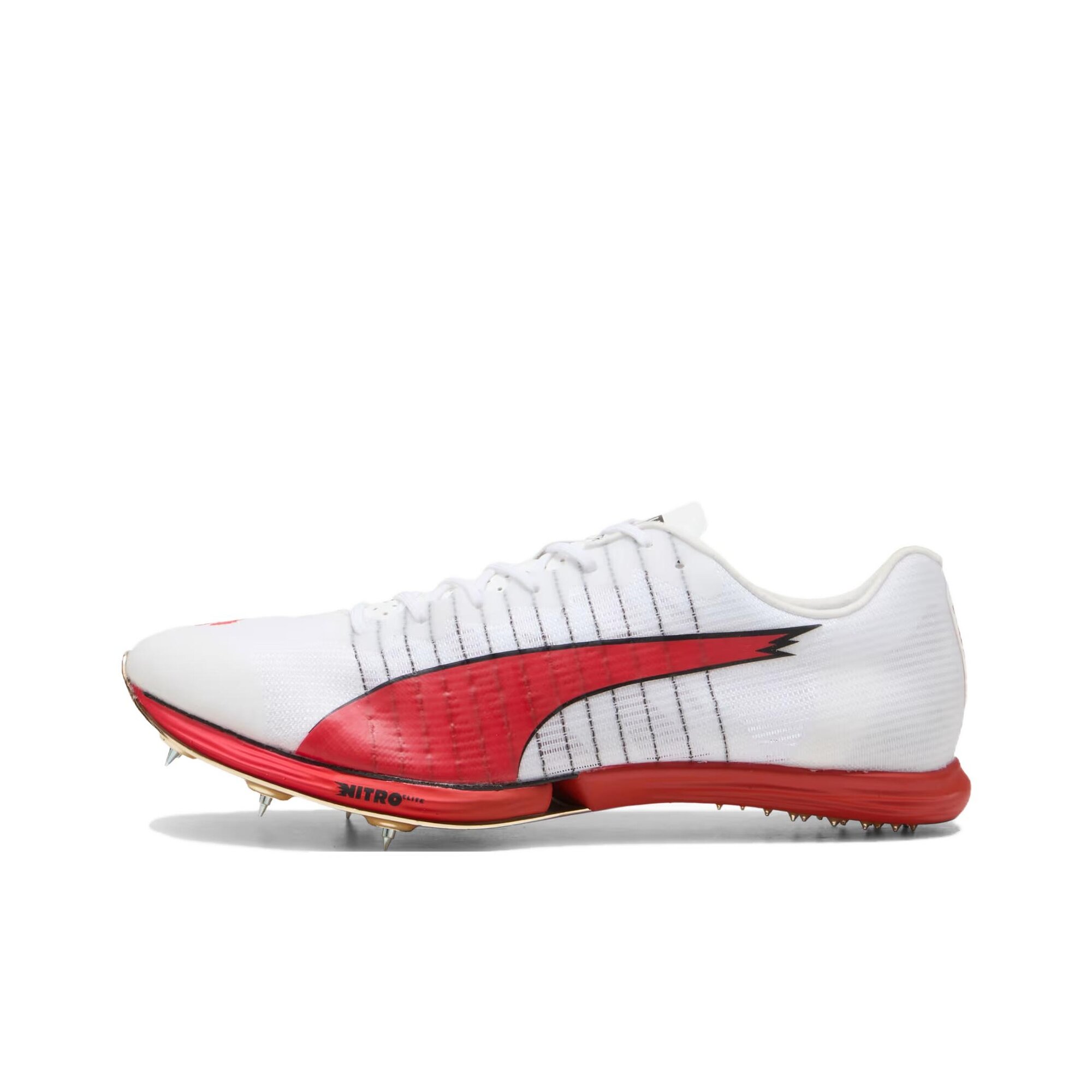 Кеды evoSPEED