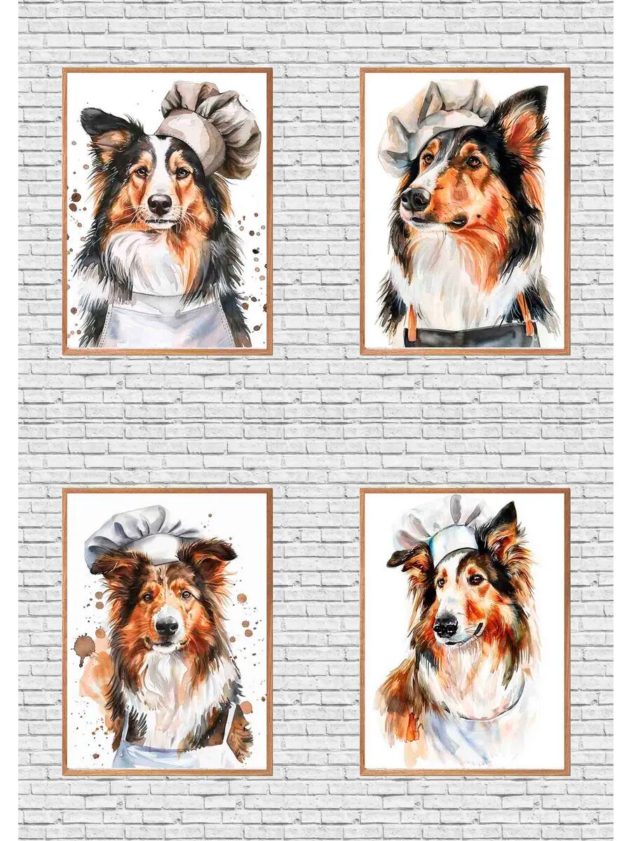 Собака породы Шотландский колли, шеф-повар, 4 Плаката, 30x2