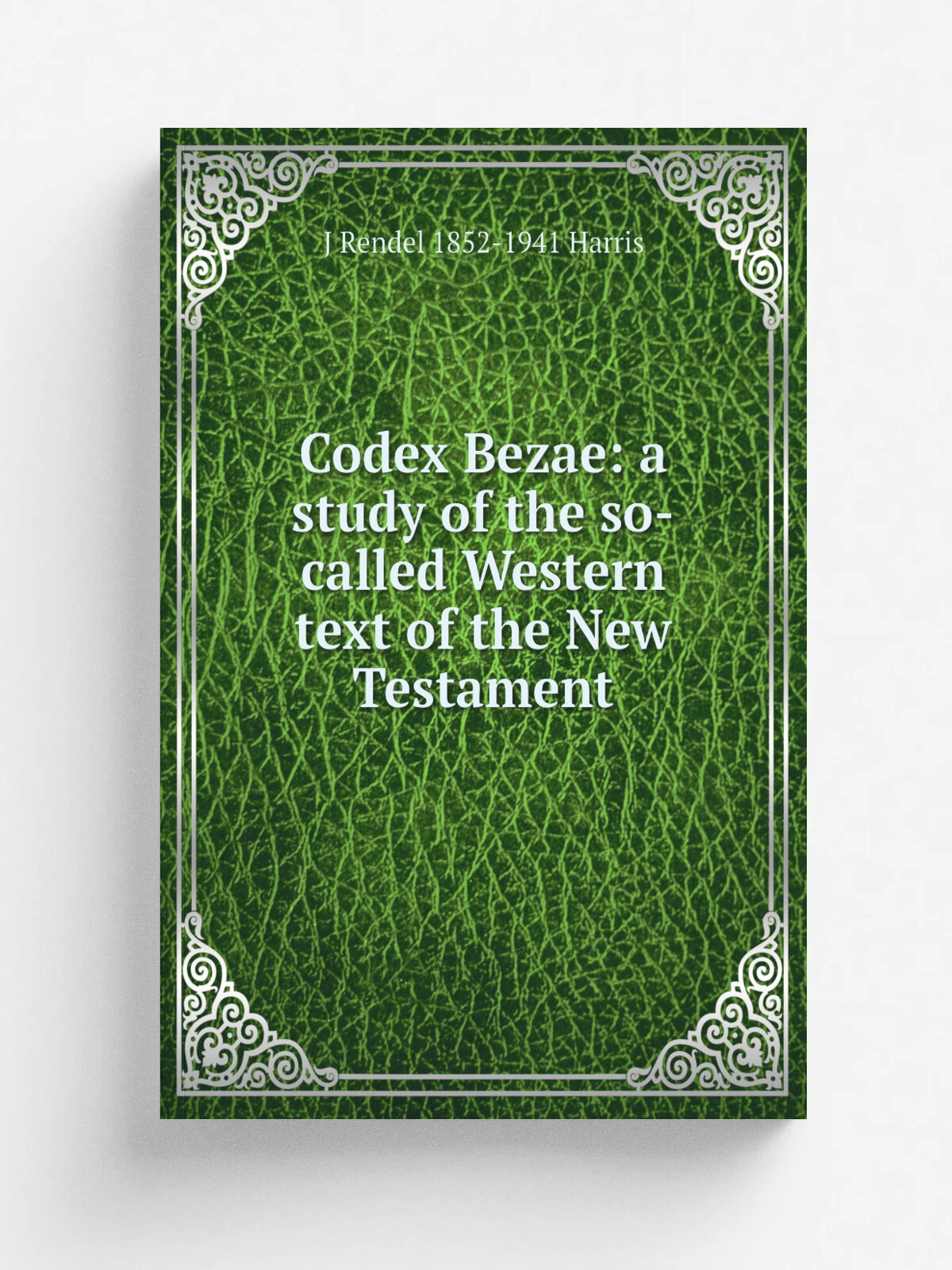 Codex Bezae: a study of the so-called Western text of the New Testament
