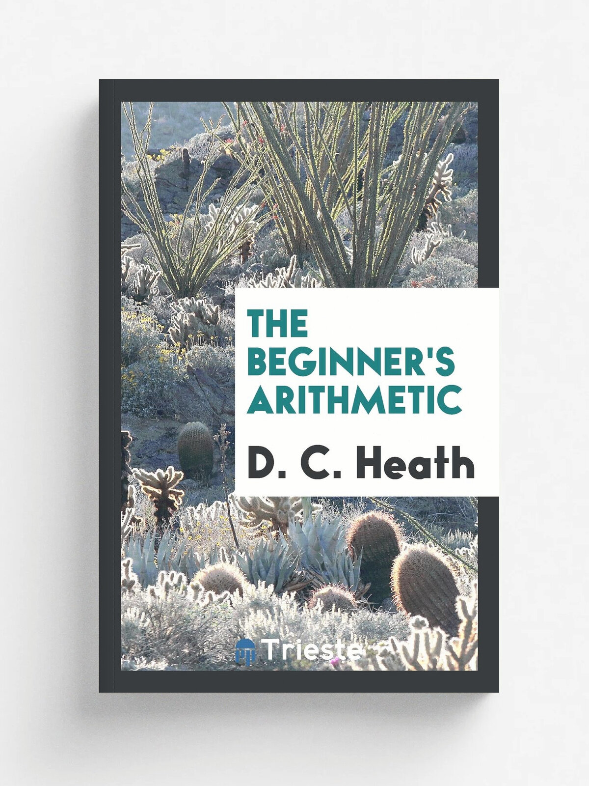 The Beginner's Arithmetic