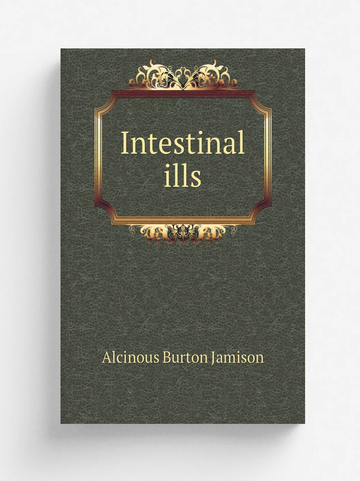 Intestinal ills | Alcinous Burton Jamison | 1919 | New York : Tyrrell's Hygienic Institute | Репринт
