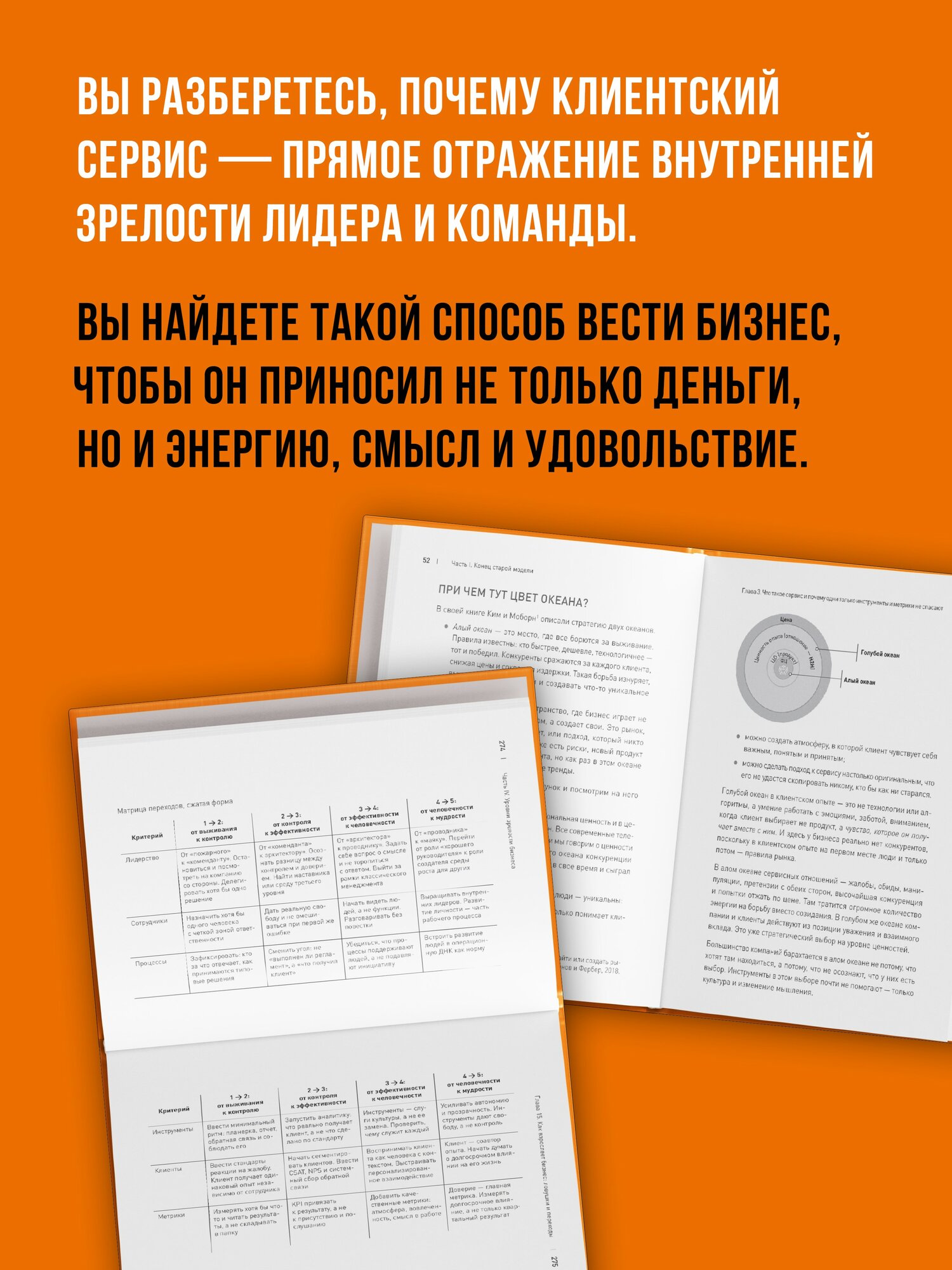 Зрелый бизнес. От выживания к деньгам, удовольствию и смыслу — фото 1