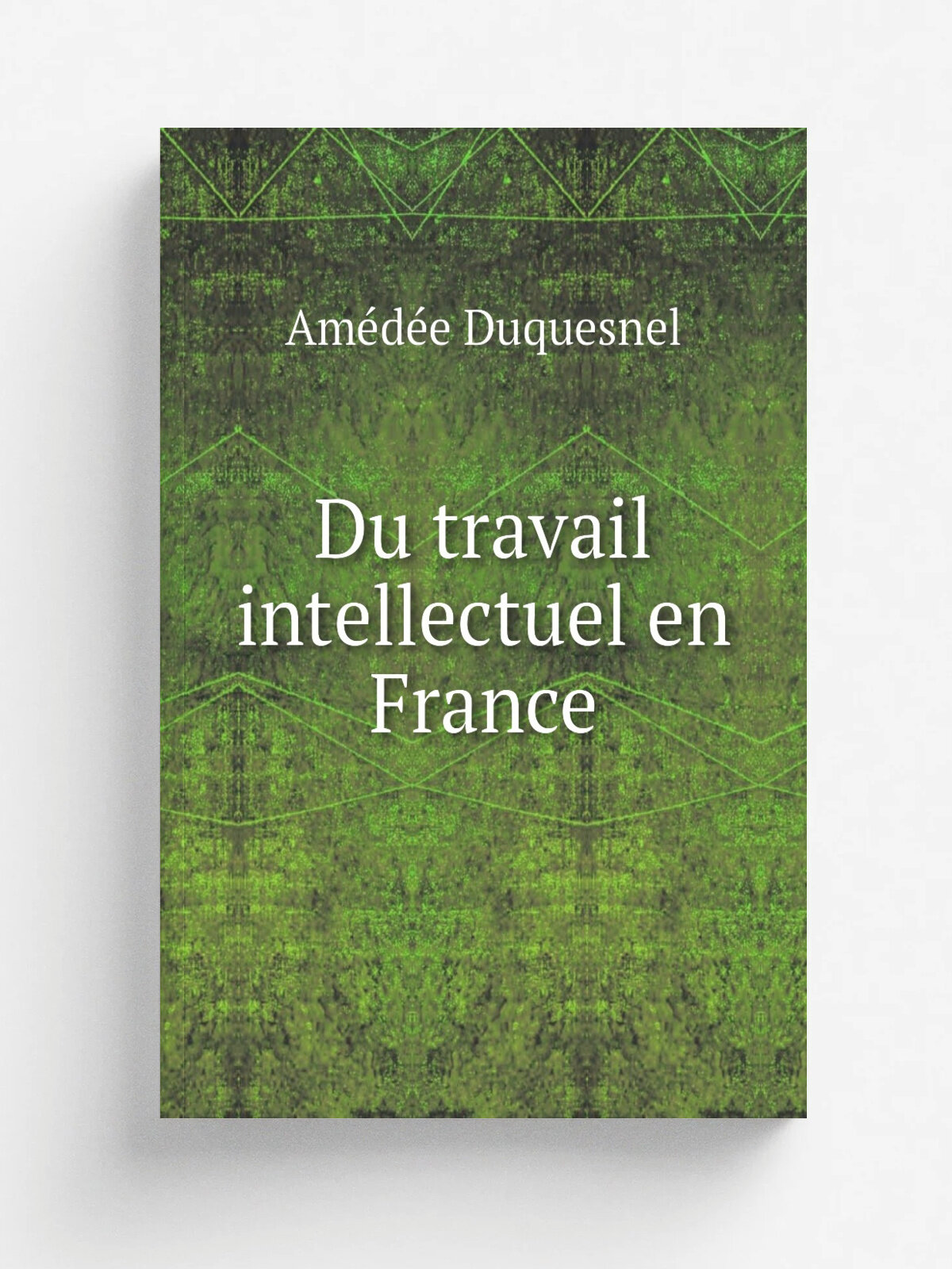 Du travail intellectuel en France | Am.d.e Duquesnel | 1839 | Paris : W. Coquebert | Репринт