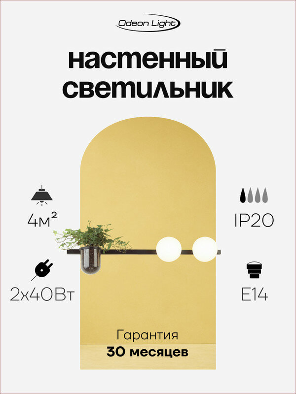 Настенный светильник ODEON LIGHT FLOWER 4681/2W E14 2*40W черный