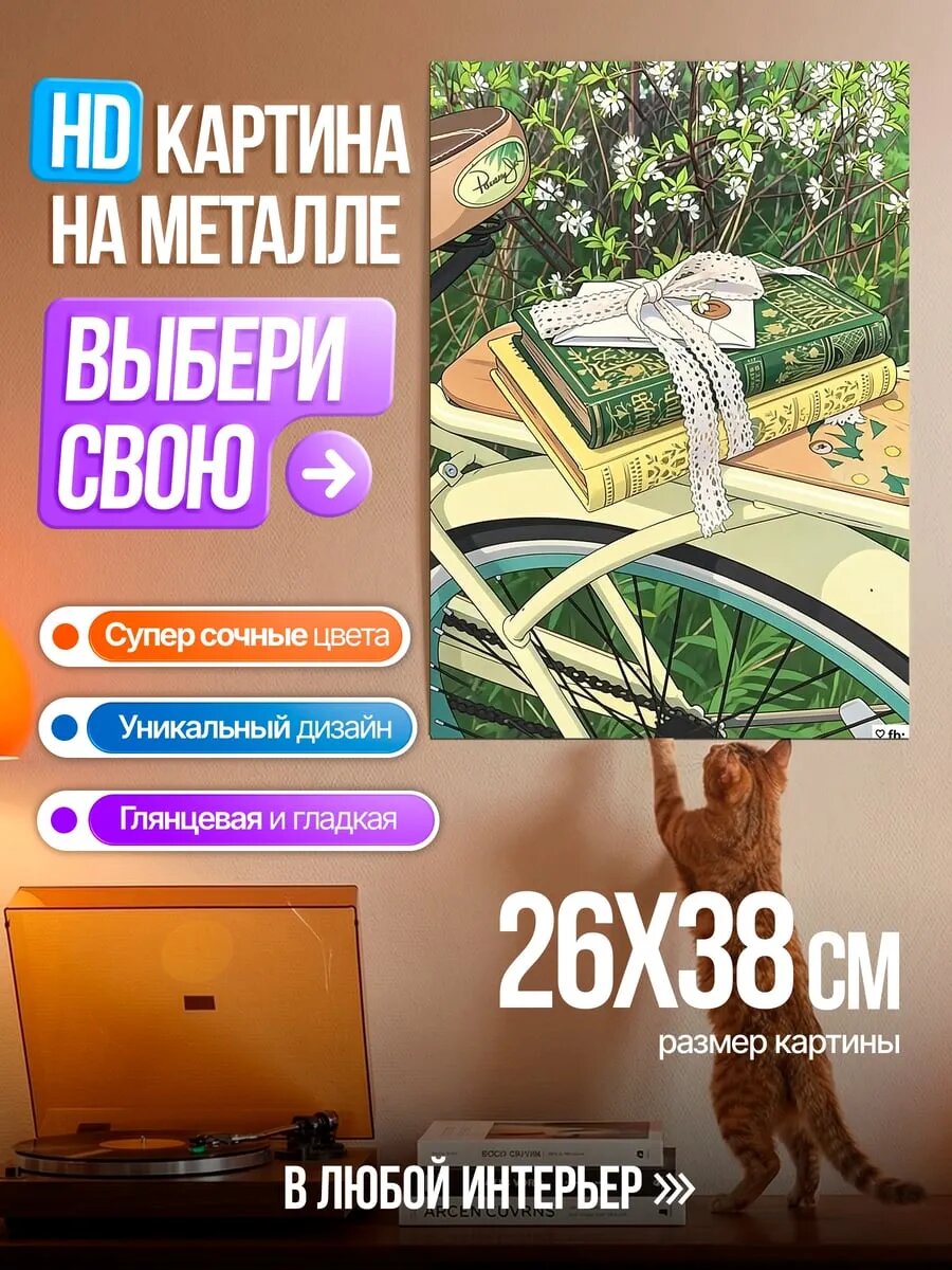 Картина на HD металле Книги на велосипеде