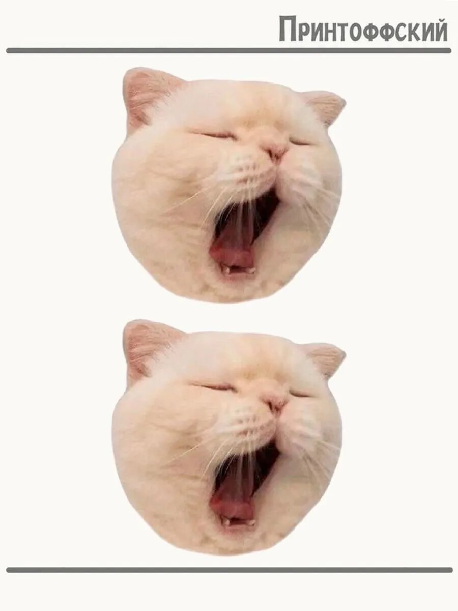 2-е (Две) Термонаклейки Зевающий кот