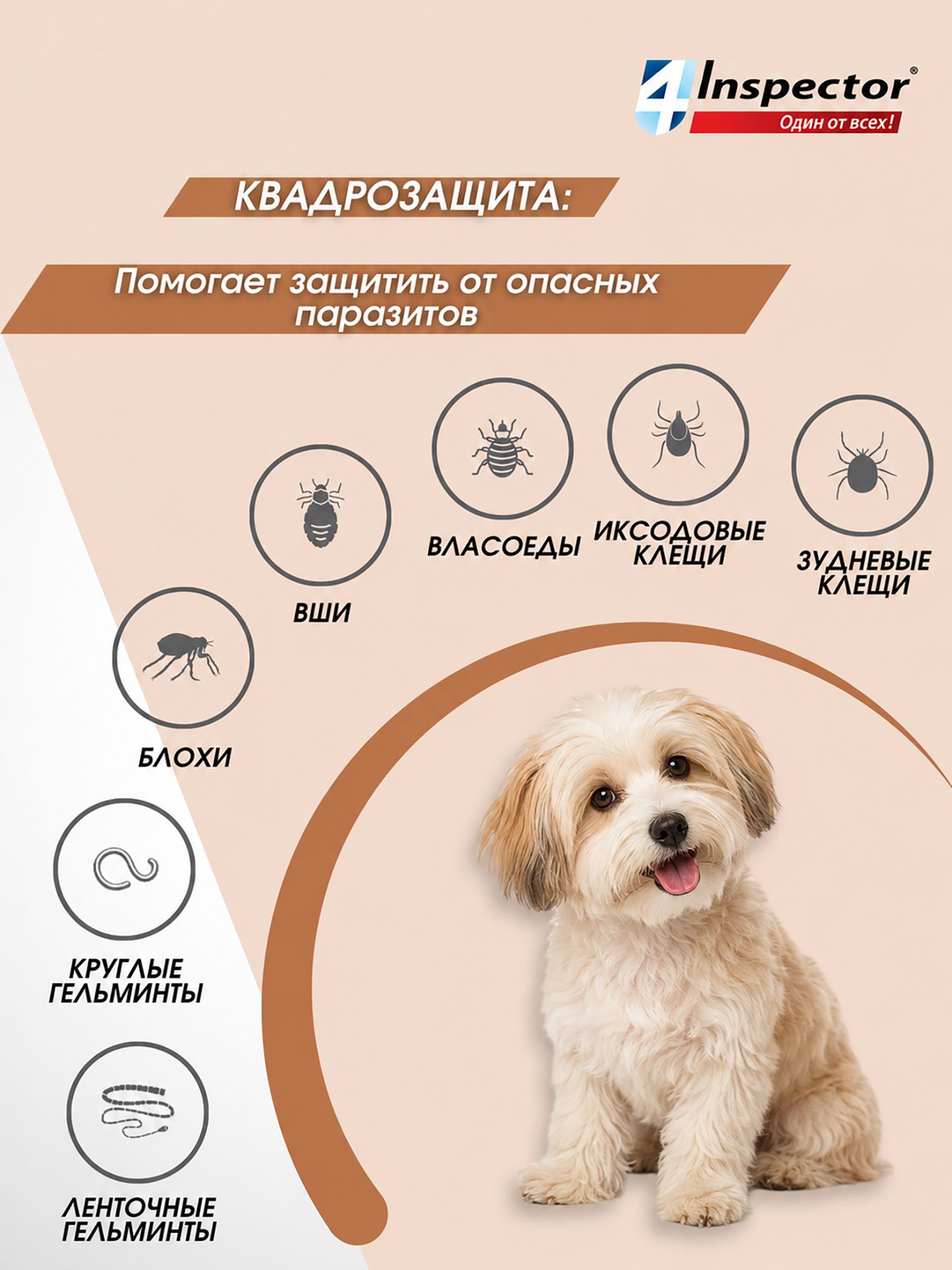 Капли от клещей блох глистов для собак Inspector Quadro 40-60 кг, 1 пипетка — фото 1