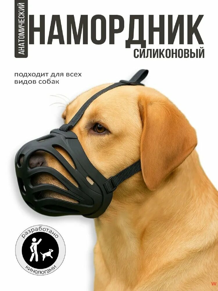 Намордник