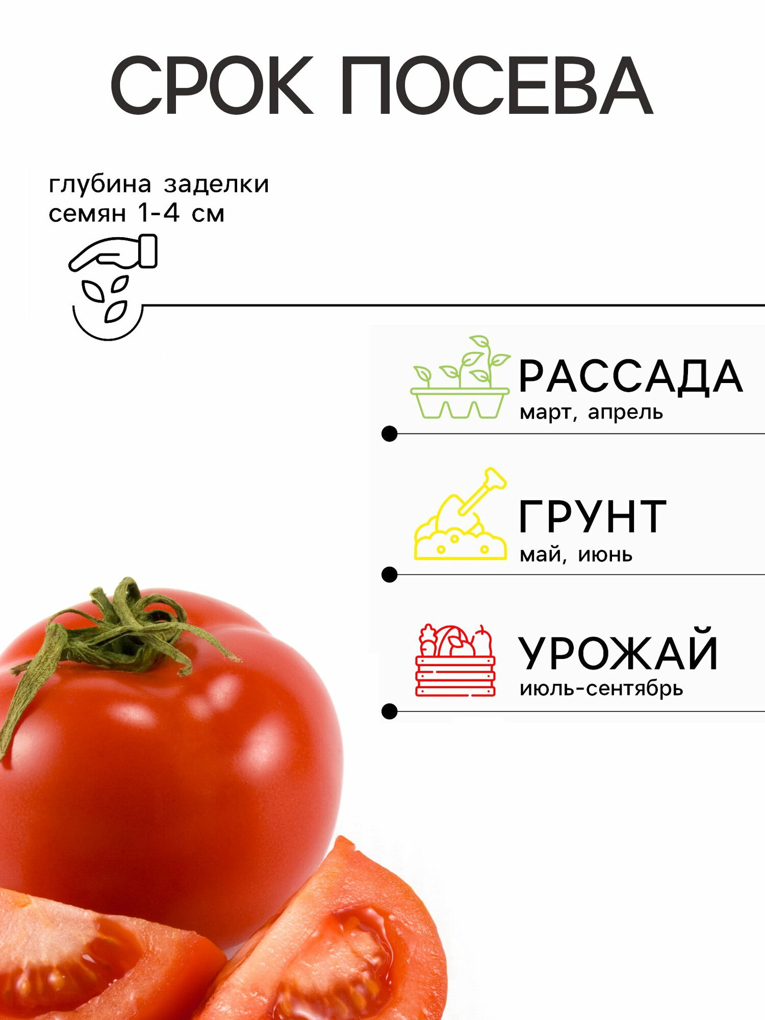 Семена Томат "Всем на зависть" F1, индетерминантный, высокорослый, 12 шт, "Уральский дачник", 2 шт. — фото 1