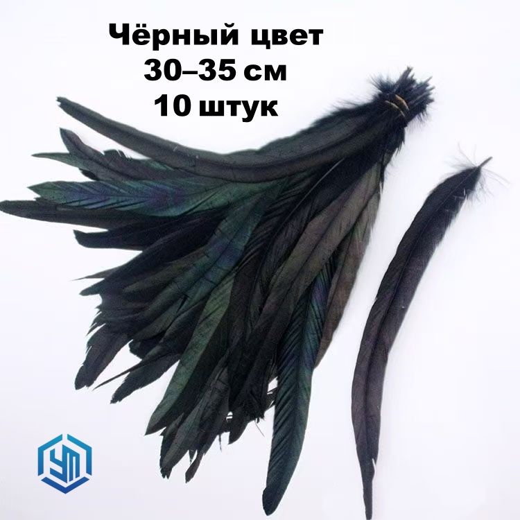 Перья петуха