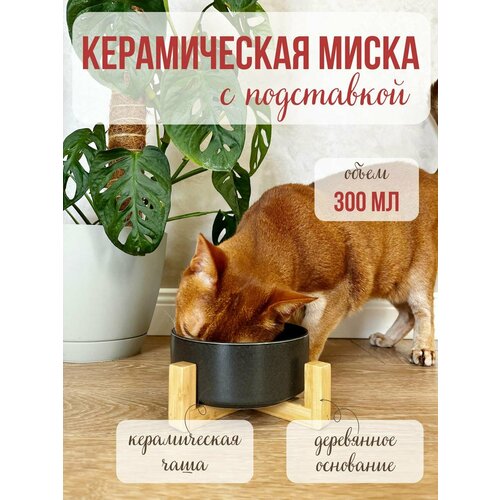 фото Миска qalla, керамическая, с бамбуковой подставкой, для кошек/собак/грызунов, 300мл