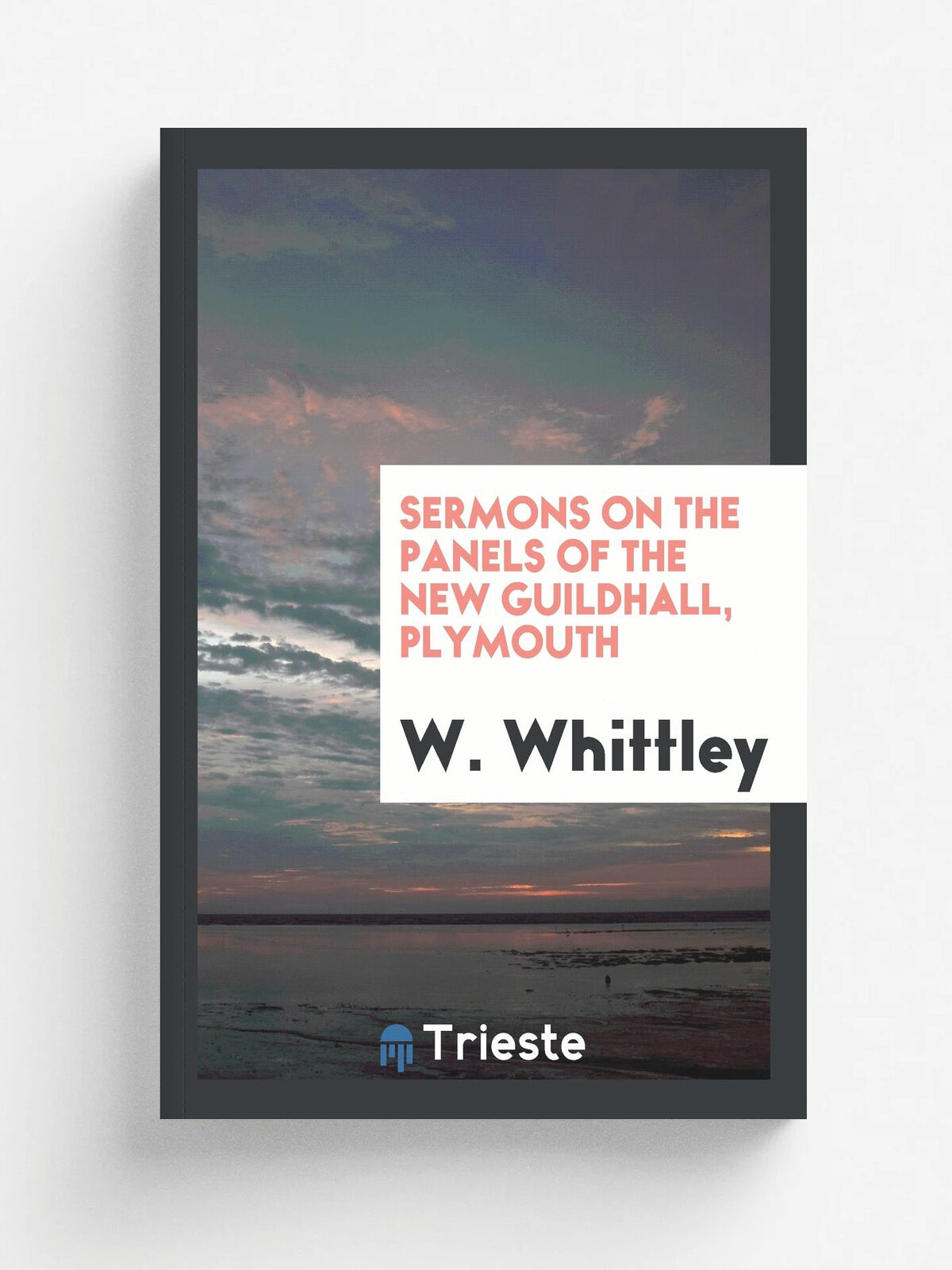 Sermons on the panels of the new guildhall, Plymouth