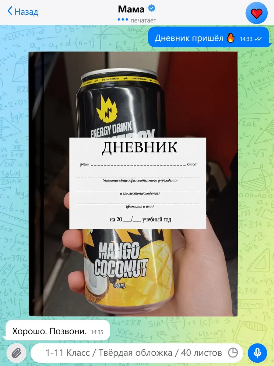 Школьный дневник с принтом Роблокс