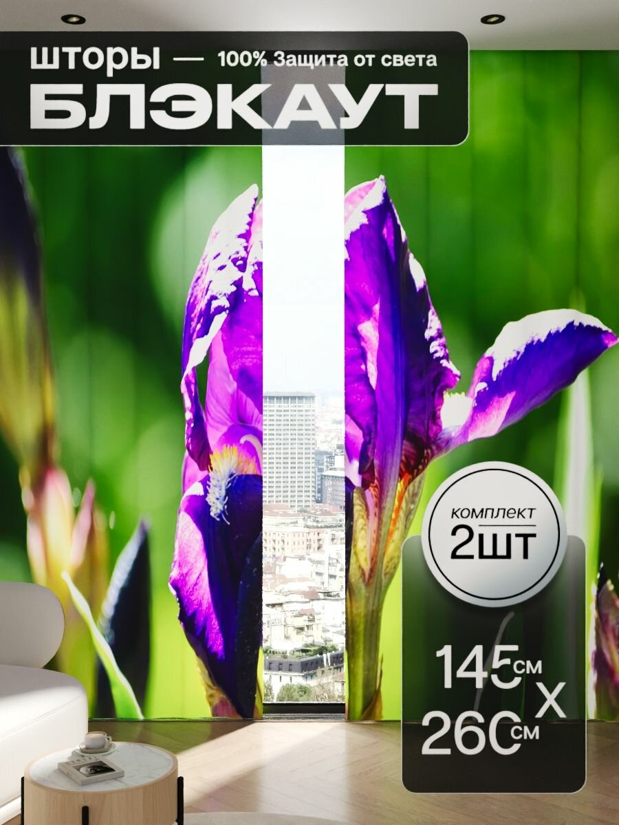 Шторы блэкаут 145x260 см 2 шт на окна плотные комплект