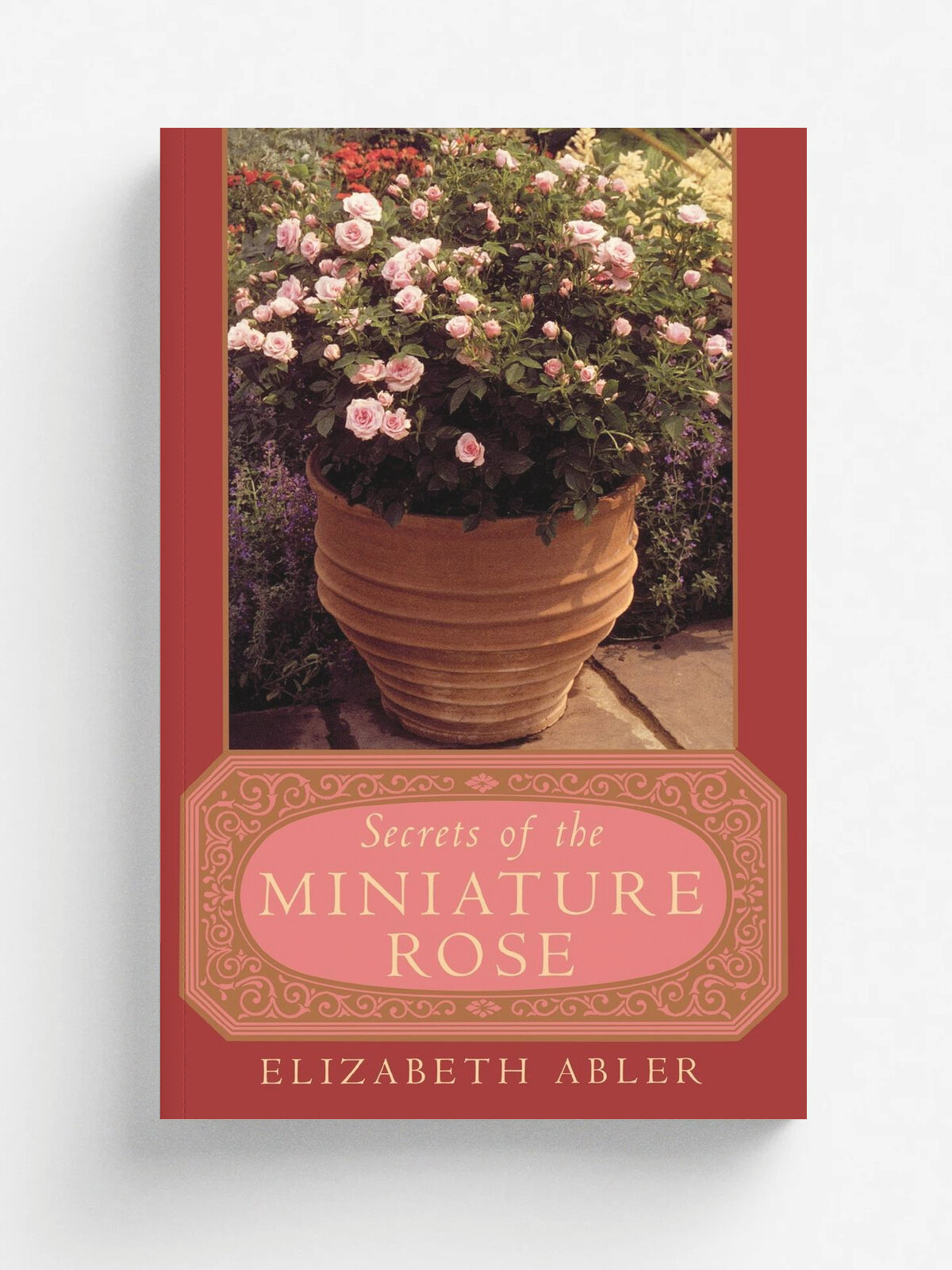 The Secrets of the Miniature Rose