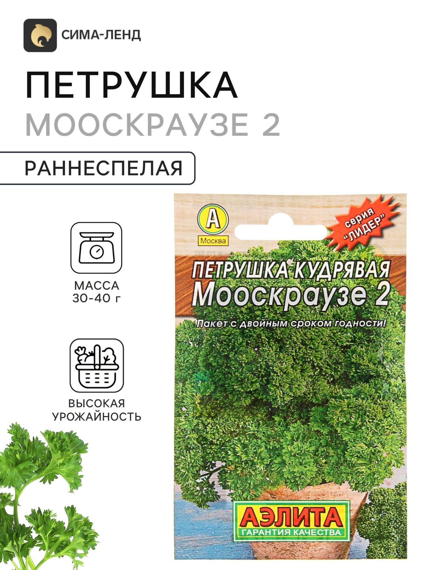 Семена Петрушка кудрявая Мооскраузе 2. 3 упаковки
