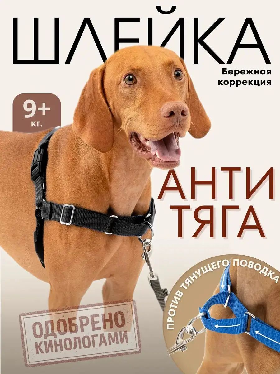 Шлейка для собак крупных и средних пород антитяга