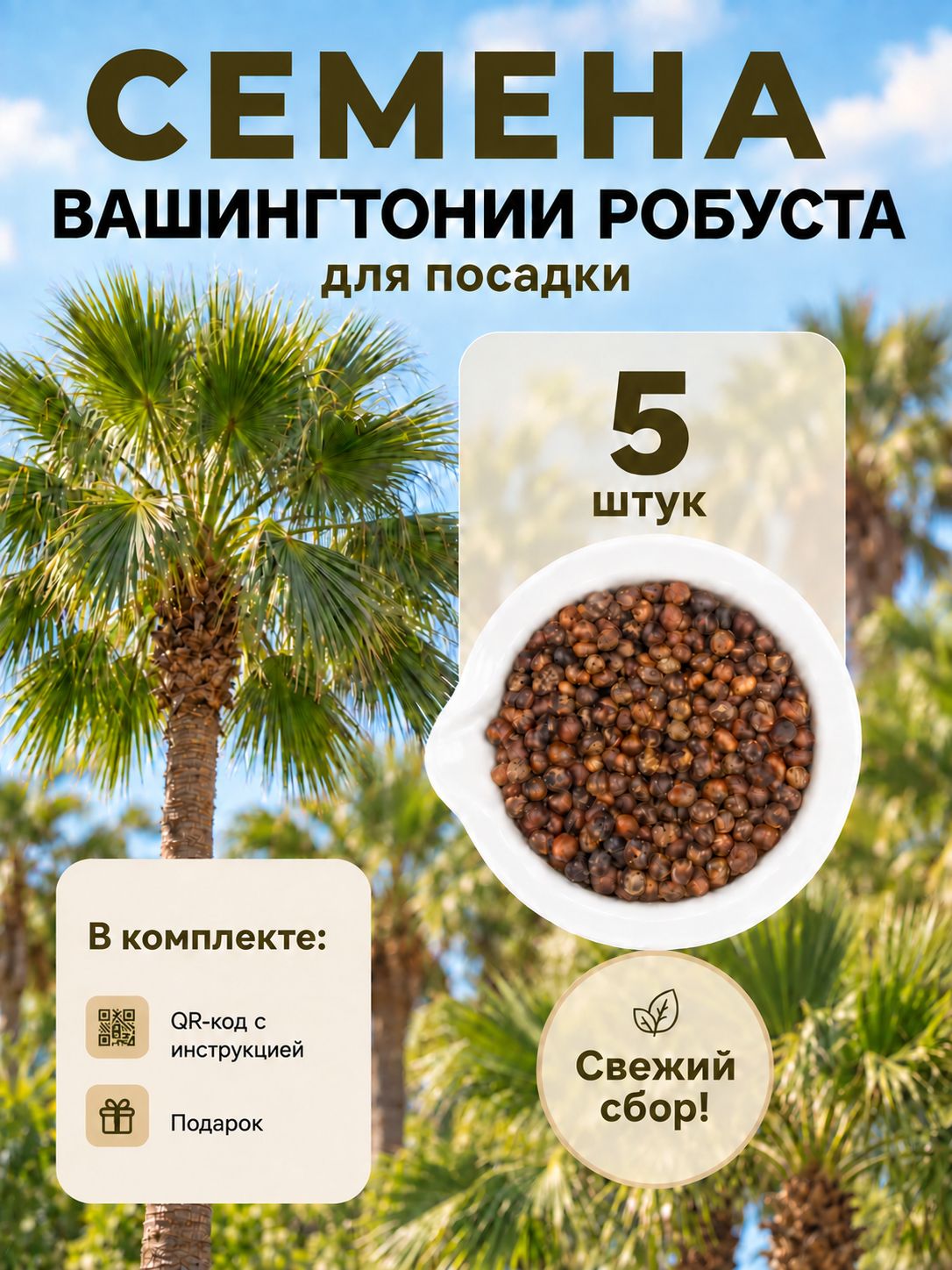 Семена Вашингтонии Робуста крепкой, 5 штWashingtonia robusta, пальма для дома, зимнего сада и террасы