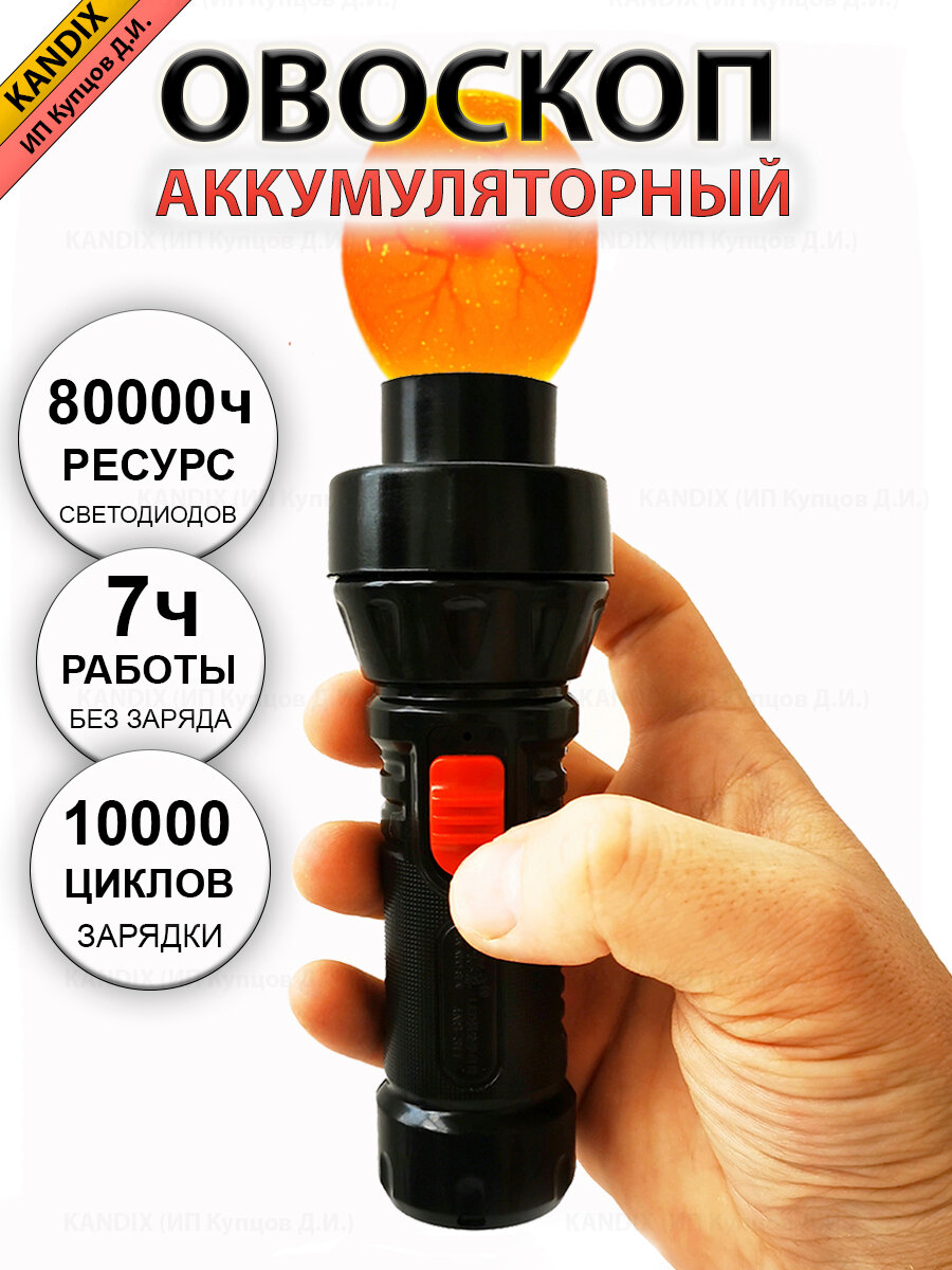 Овоскоп светодиодный для яиц 'KANDIX'