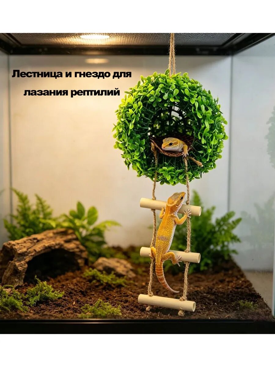 Укрытие из мха подвесное для рептилий/ Гамак-домик в террариум для агамы/ Декор с лесенкой для геккона