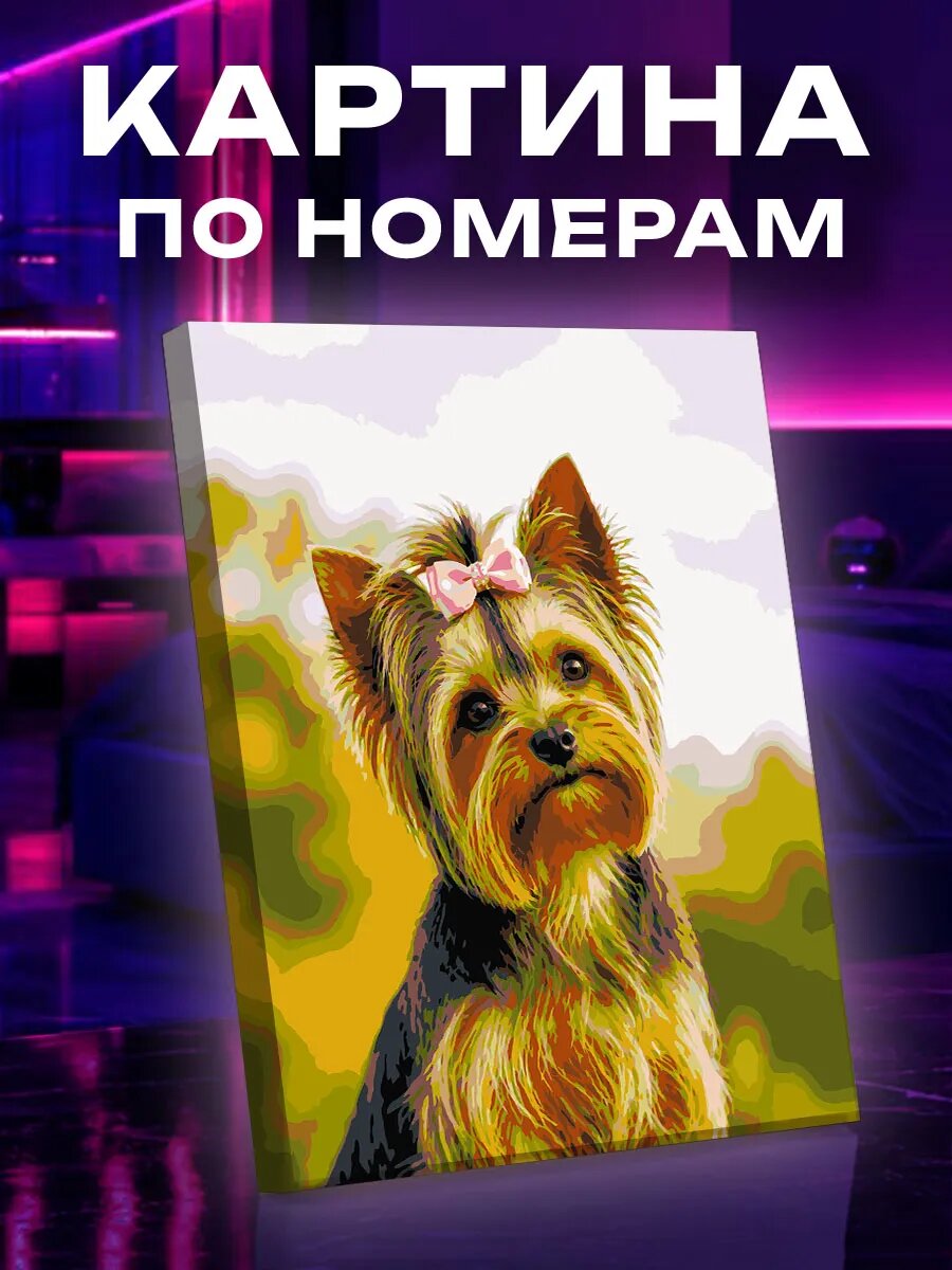 Картина по номерам Йоркширский терьер на природном фоне