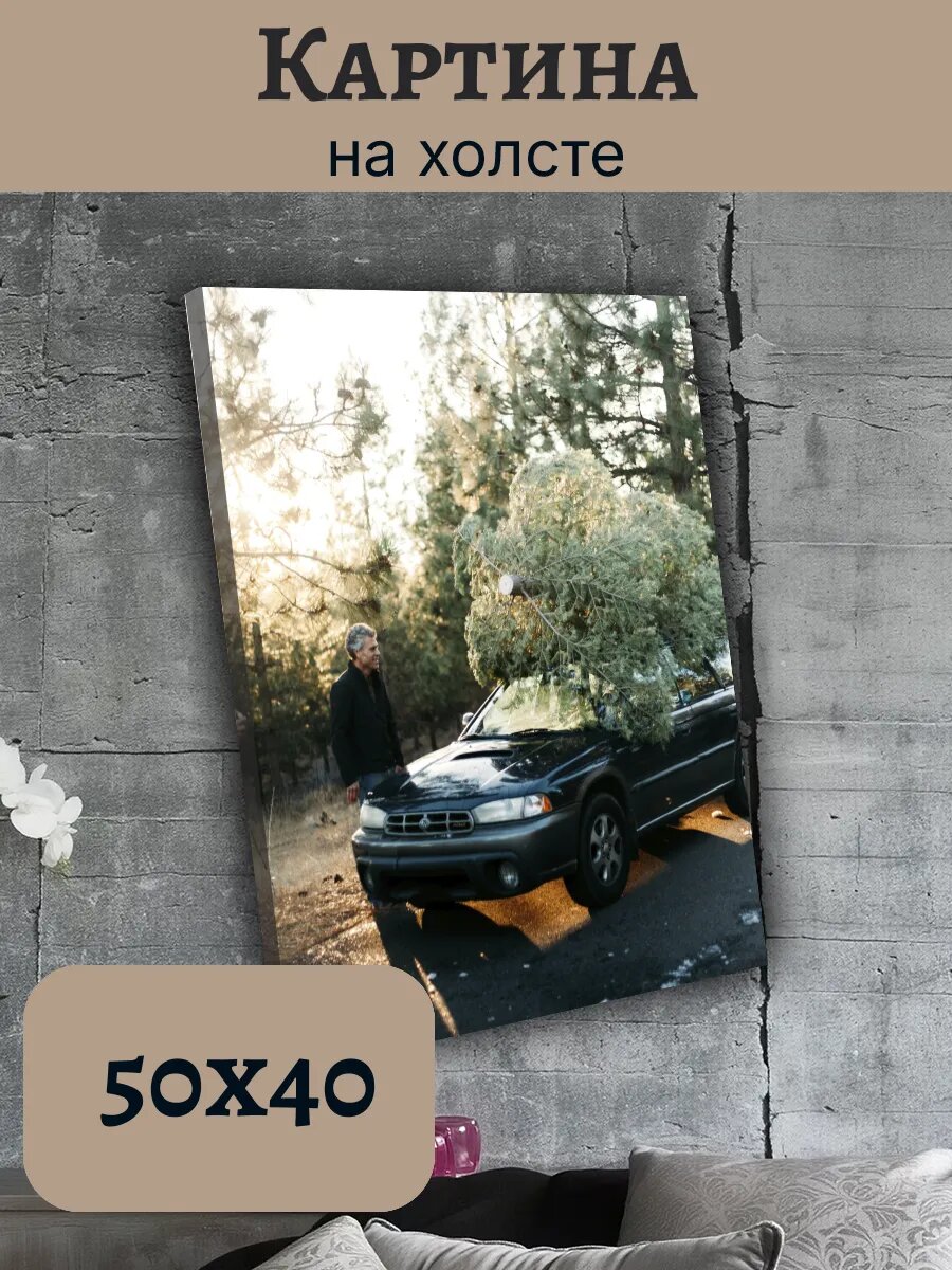 Картина Постер Субару Subaru JDM 40x50 legacy Outback в лесу