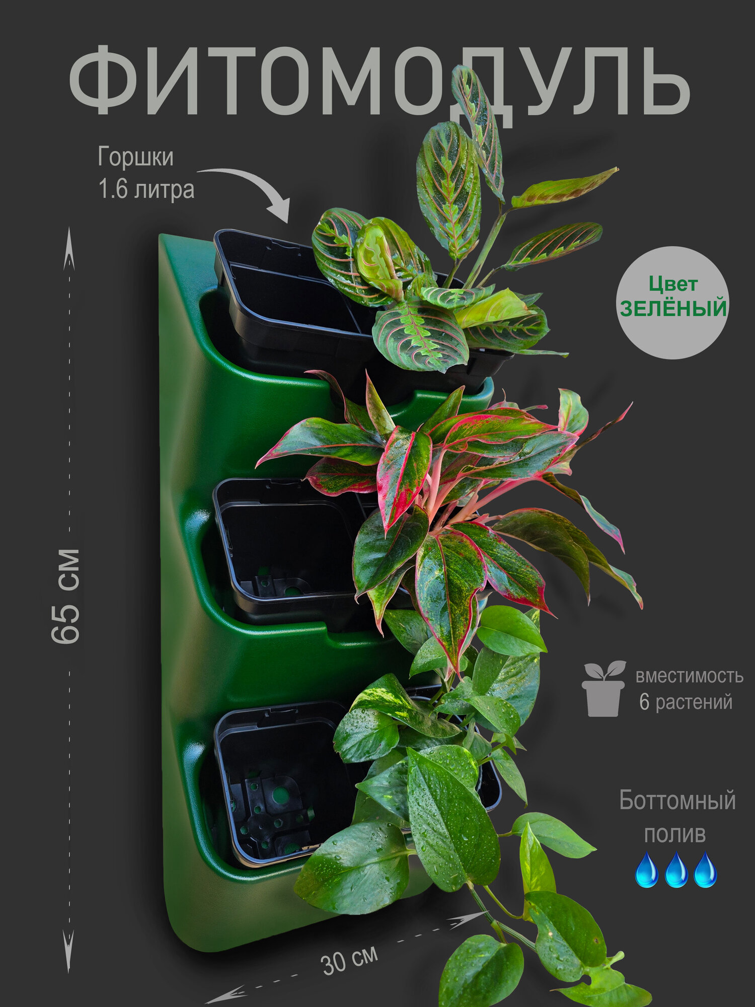Фитомодуль "BOXSAND 6"(30х65 см) с горшками 1,6 литр