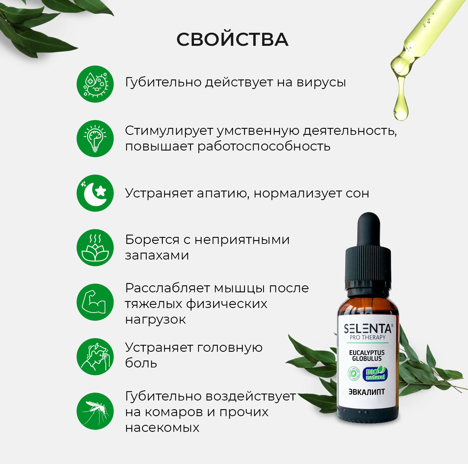 Эфирное масло Эвкалипта / Эвкалипт 100% Натуральное / 10 мл. — фото 1