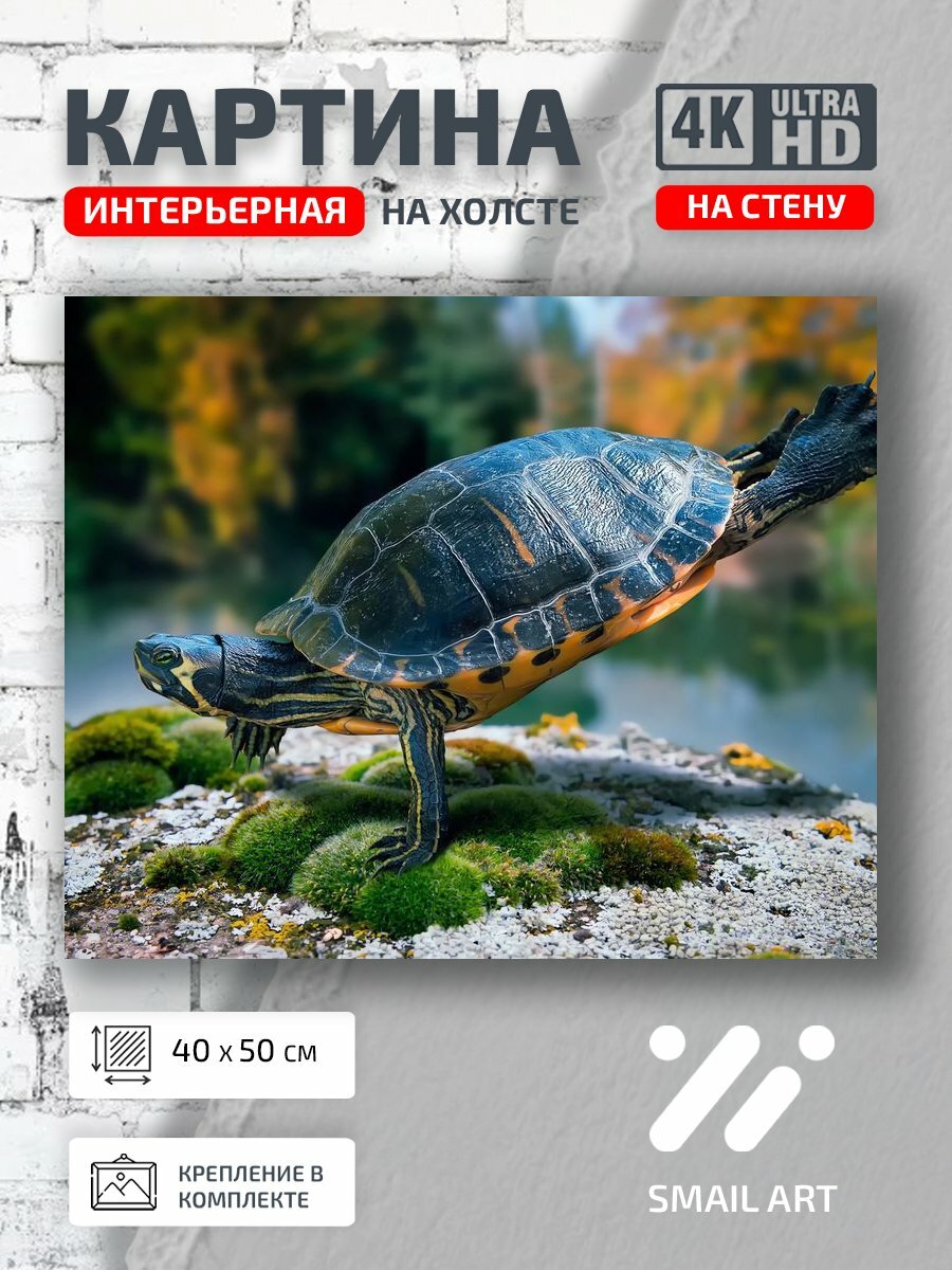 Картина на холсте интерьерная 40 на 50 на стену Вода Food для студии кулинария интерьер