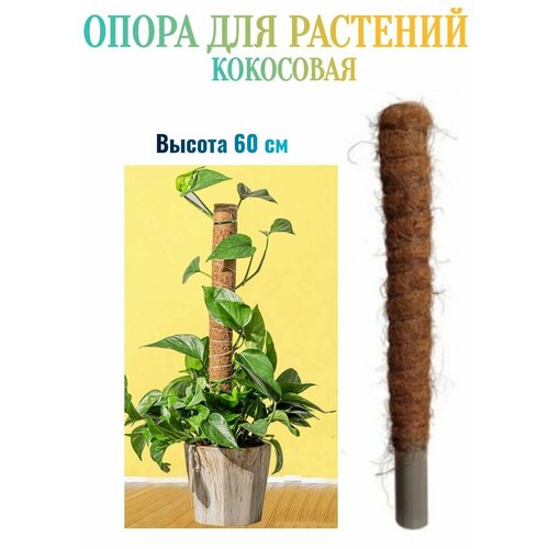 Поддержка-опора для растений кокосовая, высота 60 см - для подвязки домашних растений в цветочных горшках , а также в декоративных резервуарах для выращивания уличных растений.