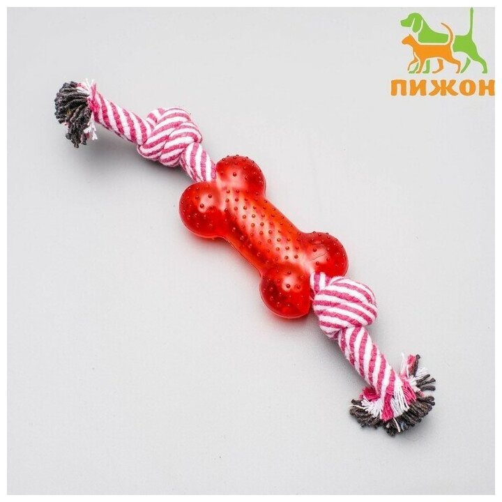 Игрушка канатная с косточкой, до 90 г, до 26 см, микс цветов 3276096 - фотография № 3