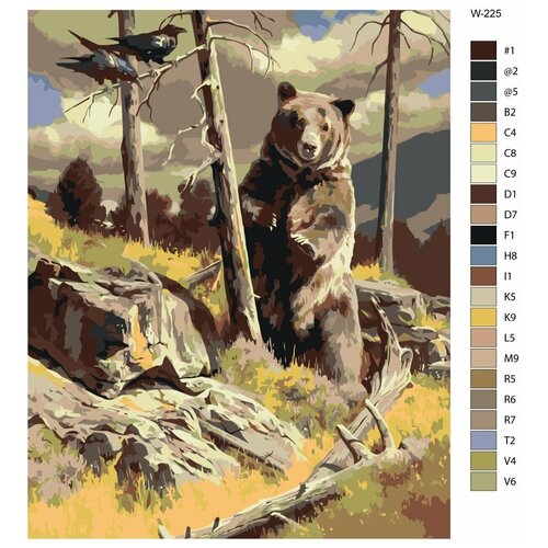 Картина по номерам W-225 Медведь 40х50