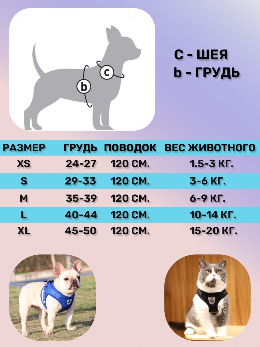 Шлейка с поводком для собак мелких и средних пород / Шлейка для кошек, L-Красная - фотография № 7