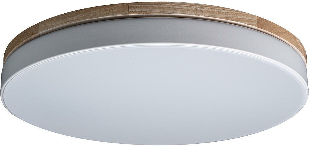 Светильник потолочный Loft It Axel 10001/36 White, LED, 36Вт, кол-во ламп:1шт, Белый