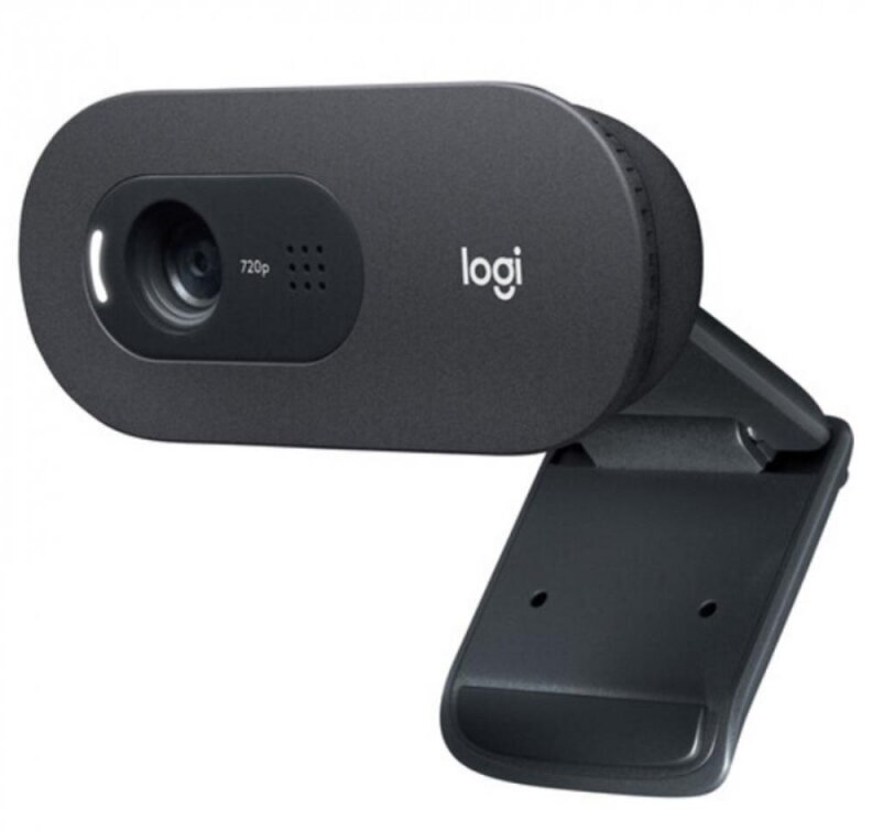 Веб-камера Logitech C505 HD Webcam (960-001364)