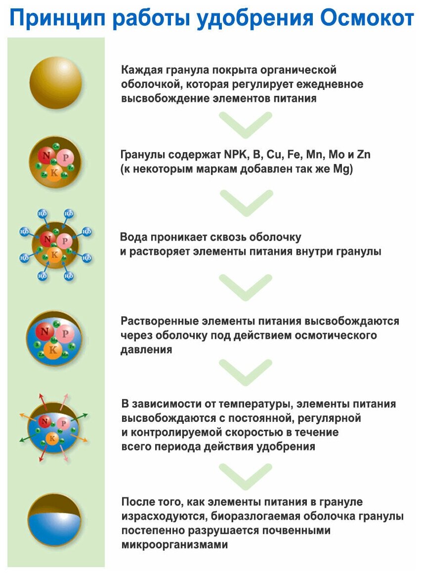 Удобрение для сада, огорода и комнатных растений Osmocote (Осмокот) PRO 5-6М, 1000 гр. - фотография № 3