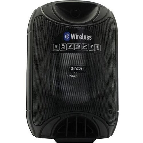 Крупная переносная колонка Bluetooth Ginzzu GM-223 608000₽