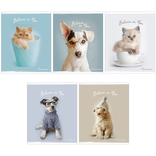 Тетрадь общая, 96л, А5, клетка, 5 шт, на скрепке, Rachael Hale, Seventeen, . RH54/5