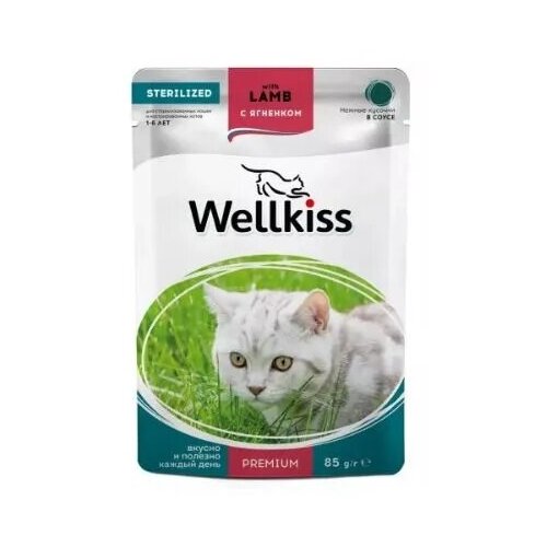Wellkiss Sterilized влажный корм для стерилизованных кошек, кусочки с ягненком в соусе, 85 г, 20 шт