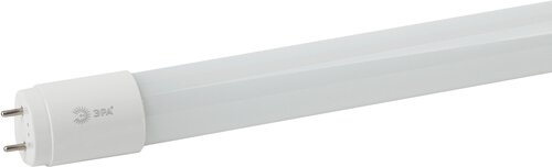 ЭРА LED T8-20W-865-G13-1200mm (диод, труб. стекл,20Вт, хол, пов. G13, пенка) (25/700)