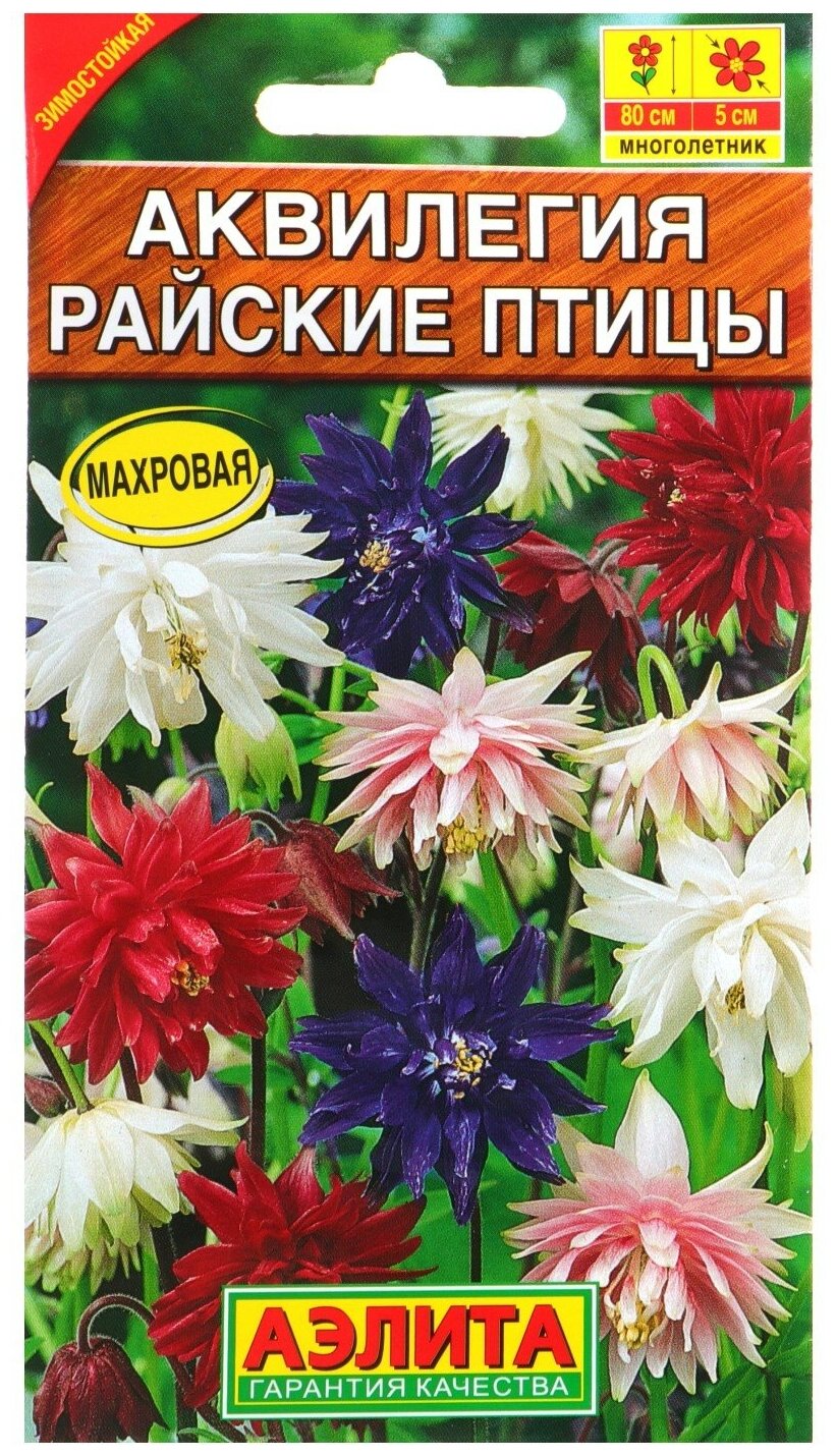 Семена Агрофирма АЭЛИТА Аквилегия Райские птицы смесь сортов 0.2 г