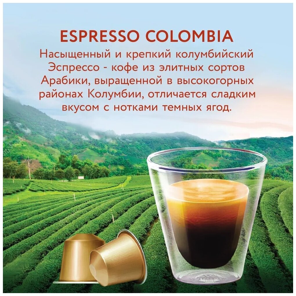 Кофе в капсулах Veronese Espresso COLOMBIA (стандарт Nespresso), 10 капсул - фотография № 2