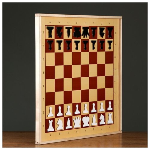 фото Десятое королевство демонстрационные шахматы магнитные (01756)