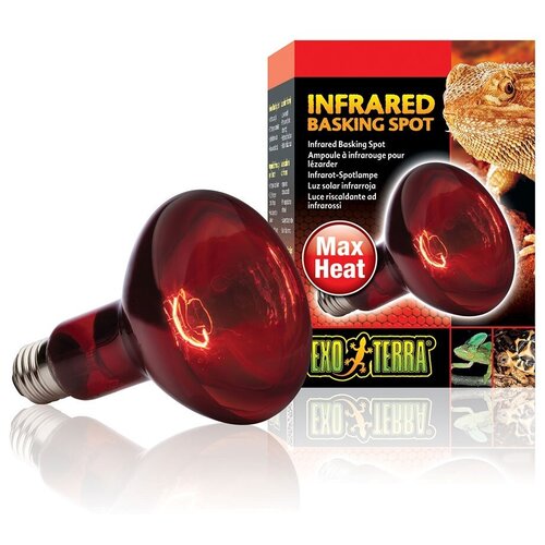 Лампа лампа инфракрасная Exo Terra Heat Glo Infrared (PT2146) , 150 Вт , красный лампа для террариума hagen exo terra heat glo infrared 100вт