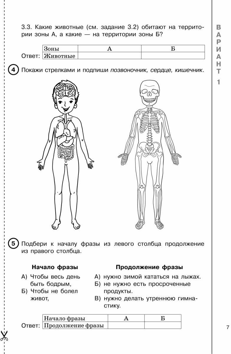 Окружающий мир за курс начальной школы. Интенсивная подготовка к ВПР - фото №11