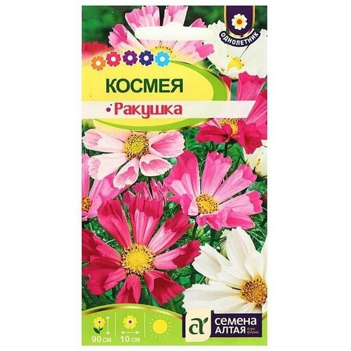 Семена цветов Космея Ракушка цп, 0,5 г 4 упаковки