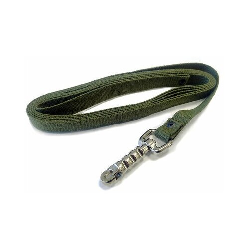 Томикс Поводок брезентовый, ширина 2 см, длина 5 м, цилиндрический карабин