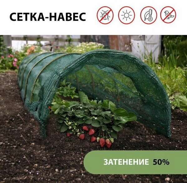 Сетка-навес, 6 м, 4 дуги из стеклопластика, d = 4 мм, затеняющая 50% - фотография № 1