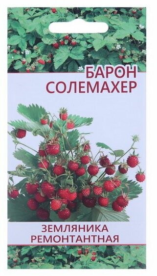 Семена "Растет дома и на даче" Земляника Барон Салемахер 10 шт